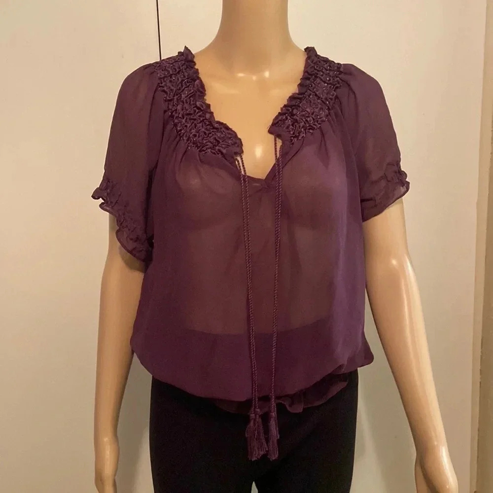 Pink Collection top, purple sheer size Large